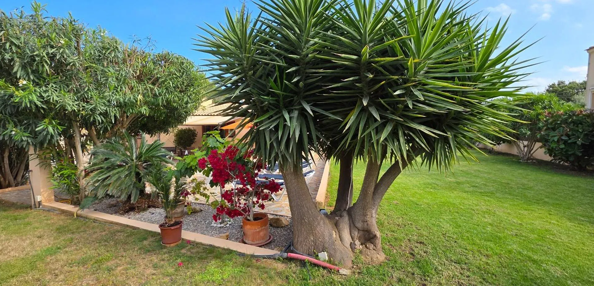 Casa La Siesta- Ruhiges Ferienhaus In Cala Ratjada, 300 M Vom Strand Son Moll Entfernt Dom wakacyjny Cala Ratjada (Mallorca)